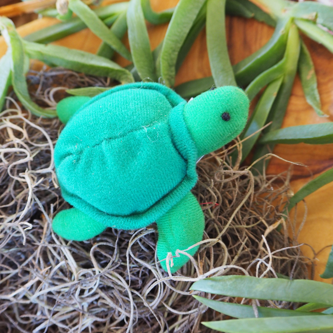 Australian Turtle Finger Puppet | Koori Curriculum