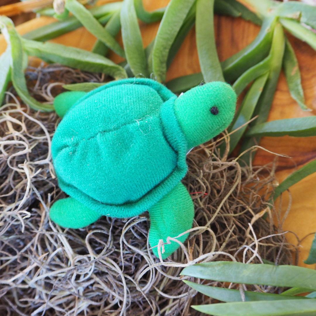 Australian Turtle Finger Puppet