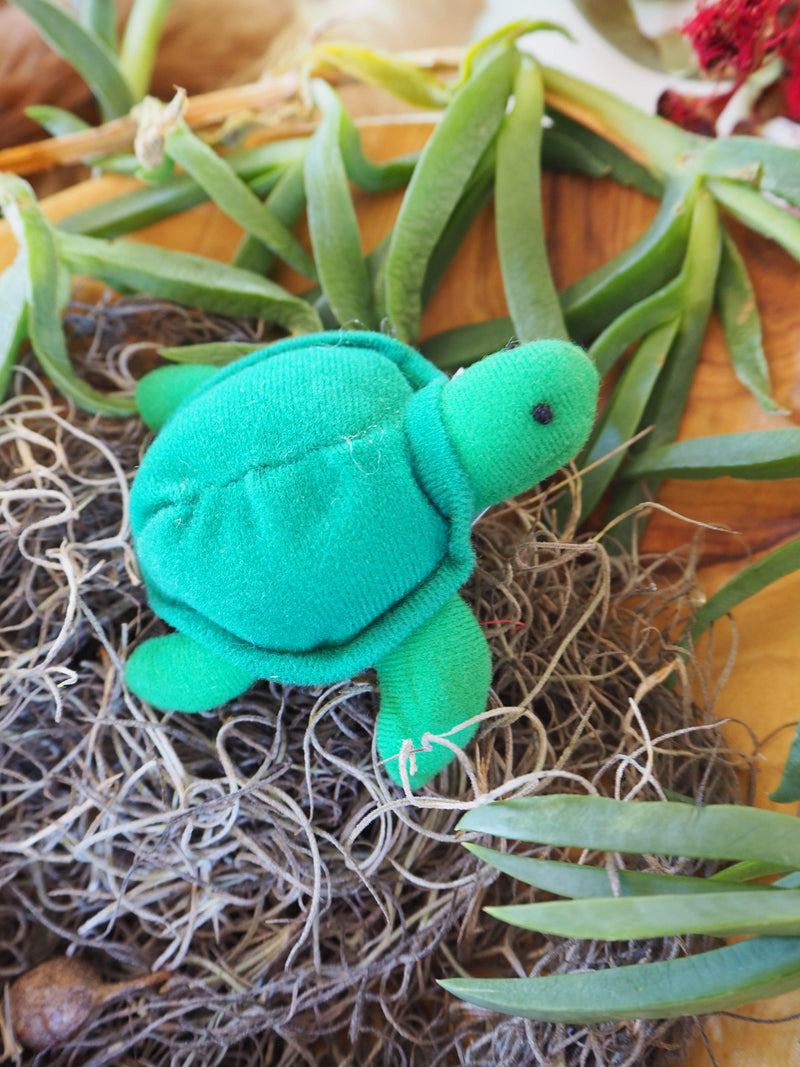 Australian Turtle Finger Puppet | Koori Curriculum