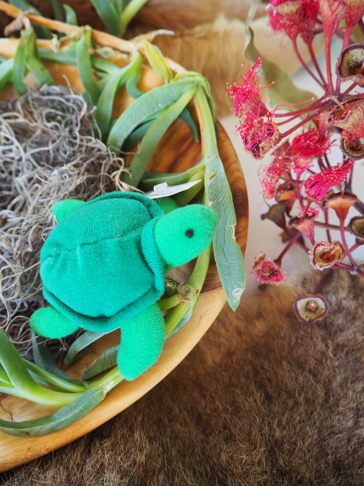 Australian Turtle Finger Puppet