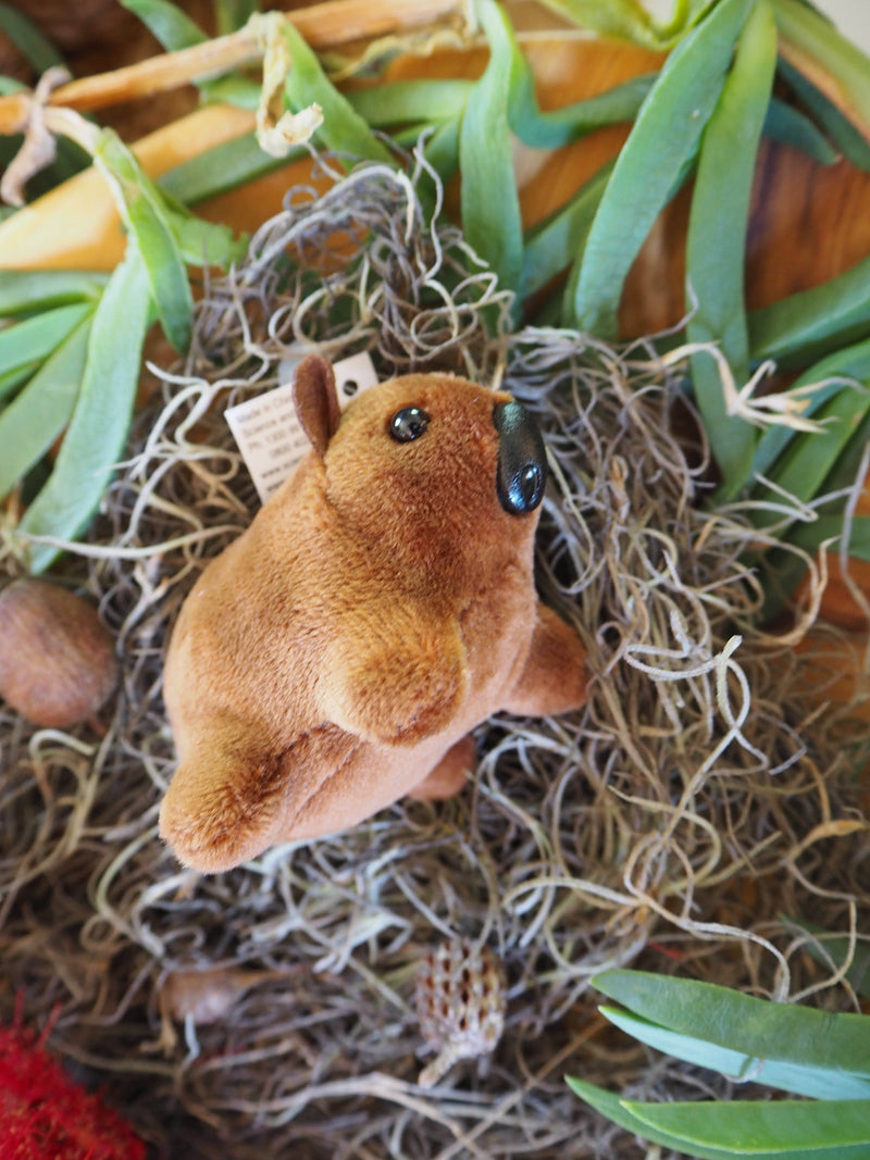 Australian Wombat Finger Puppet