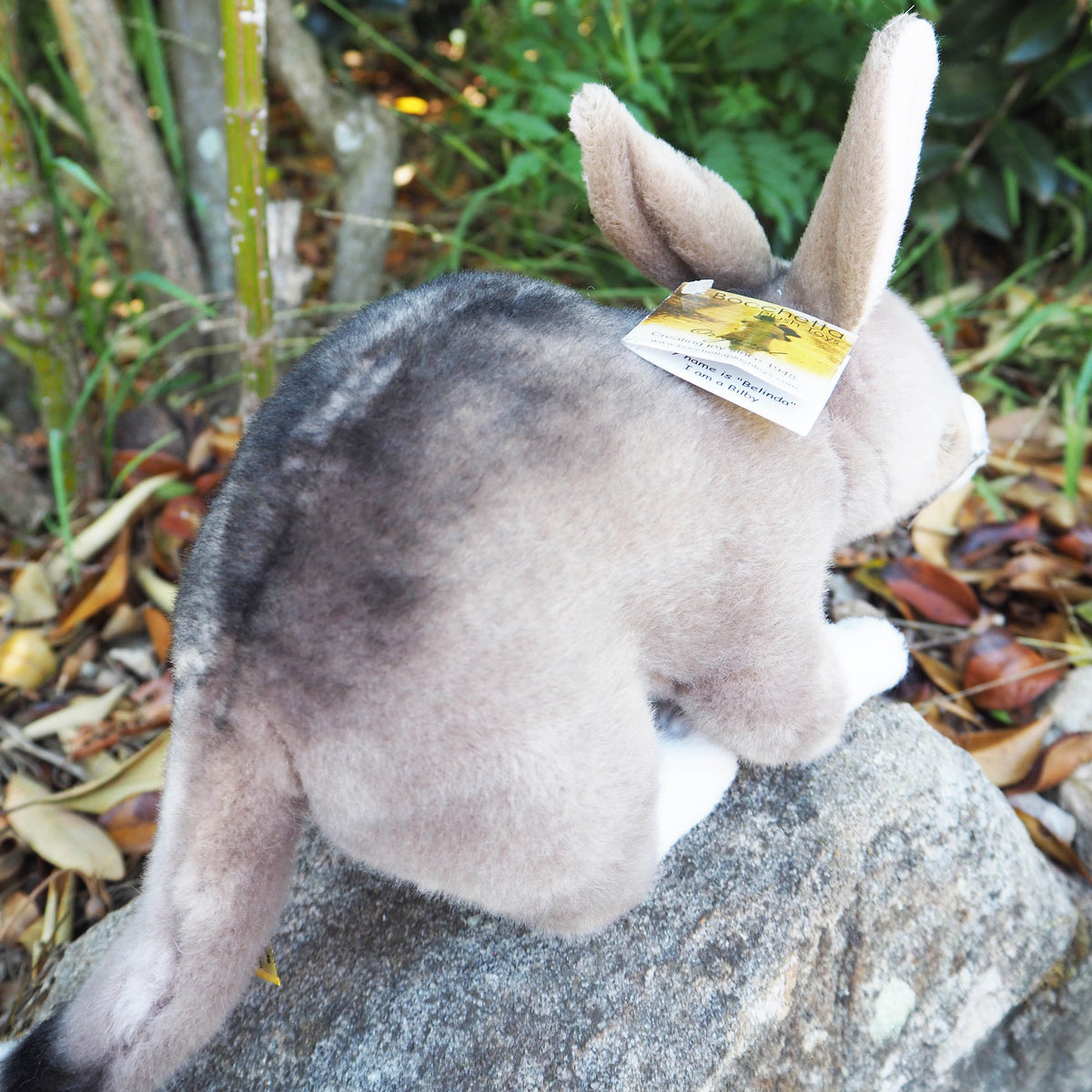 Belinda - Plush Australian Bilby Size 22cm/8.5″