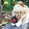 Bert - Plush Australian Bandicoot  Size 28cm/11″