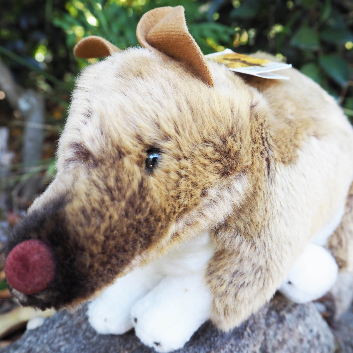 Bert - Plush Australian Bandicoot  Size 28cm/11″