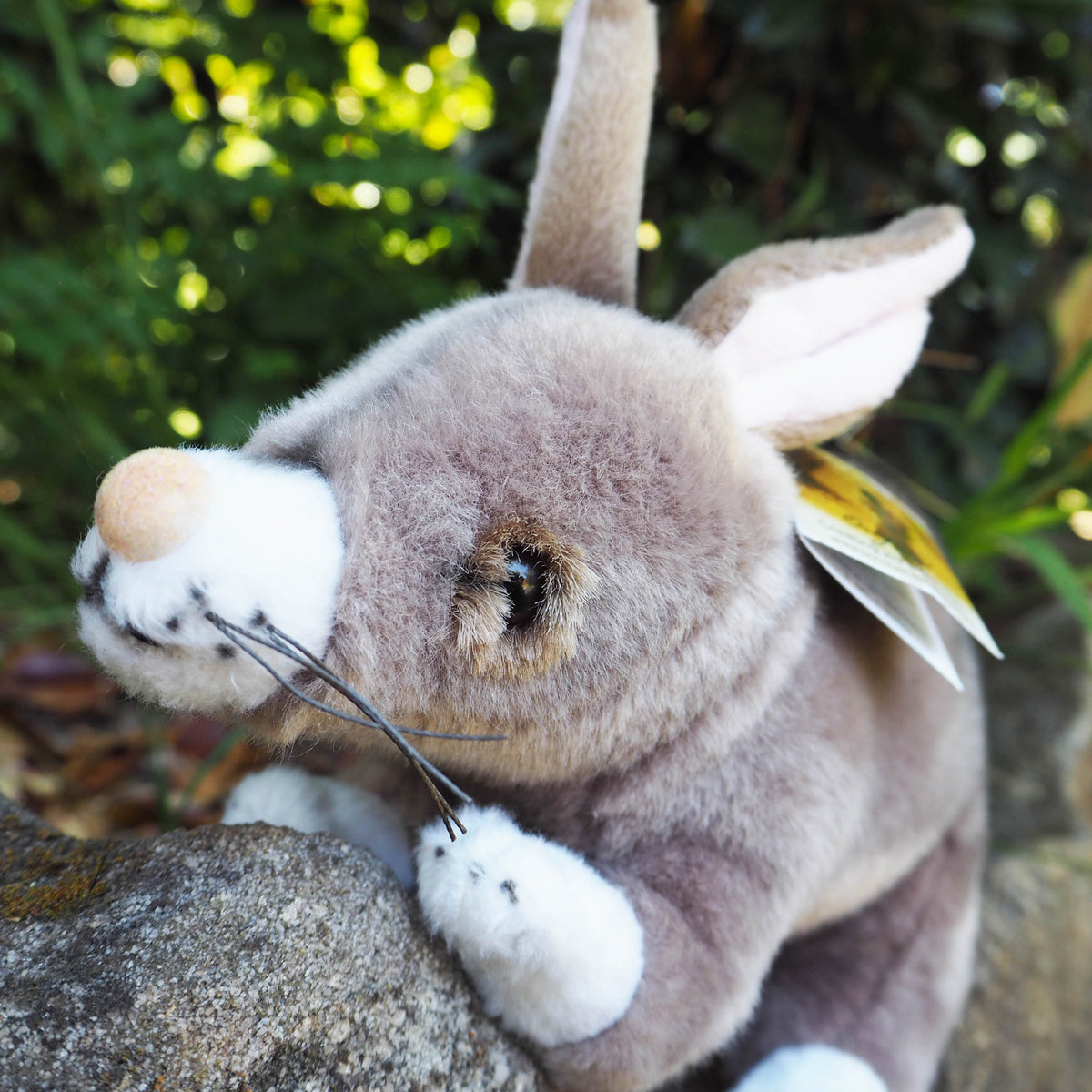 Belinda - Plush Australian Bilby Size 22cm/8.5″