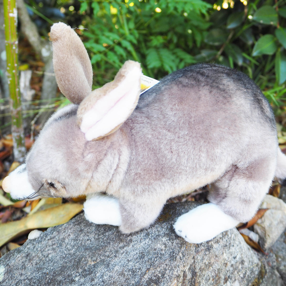 Belinda - Plush Australian Bilby Size 22cm/8.5″