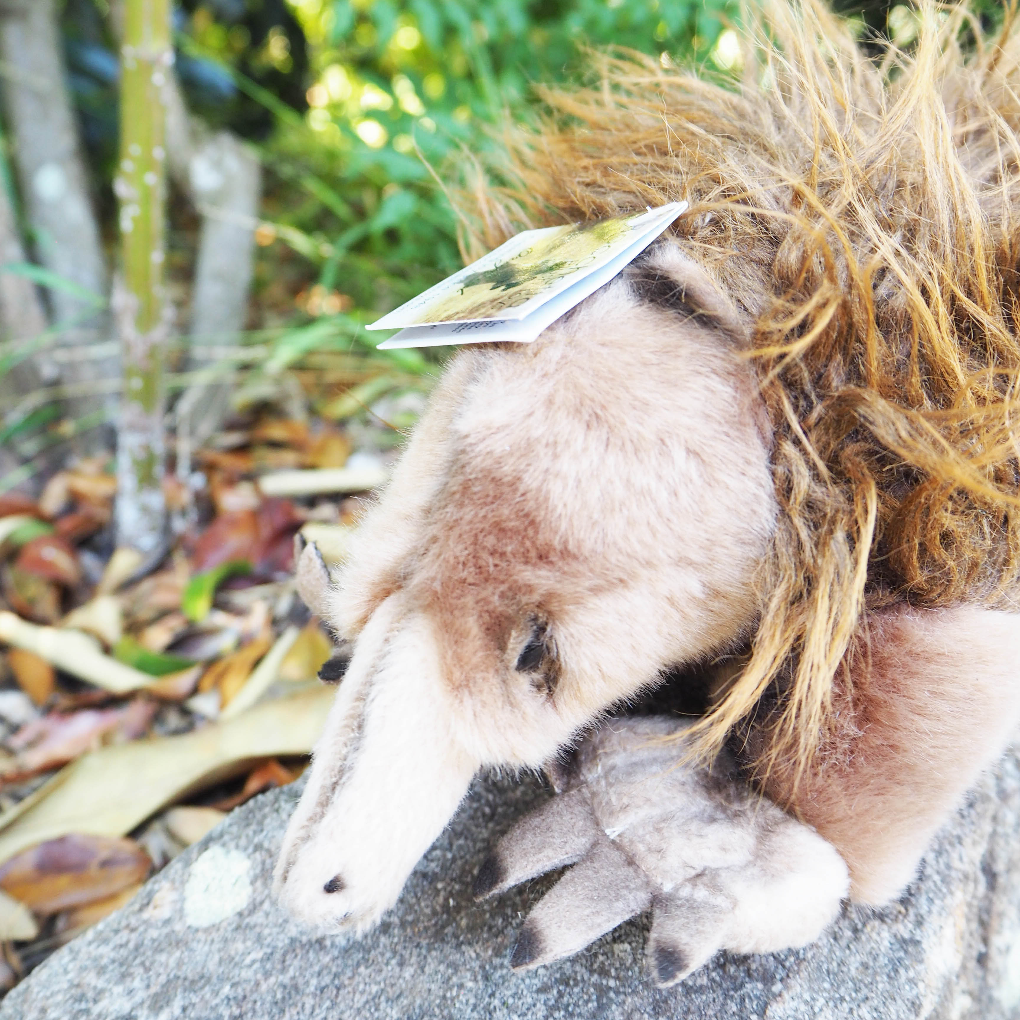 Echidna stuffed sales animal