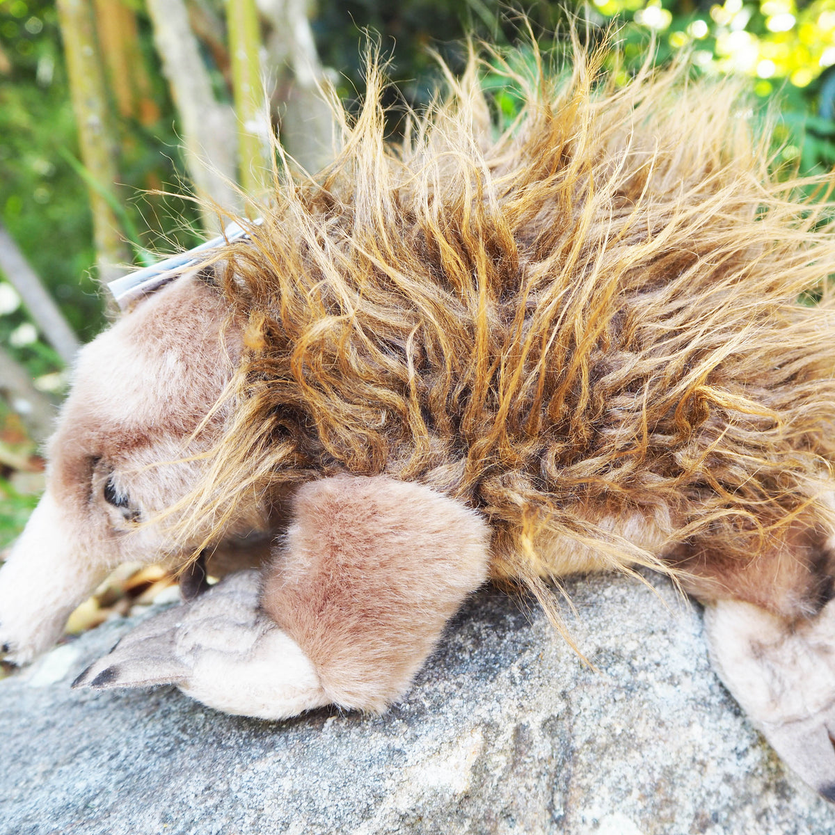 Harry - Plush Australian Echidna 24cm/9.5&#39;