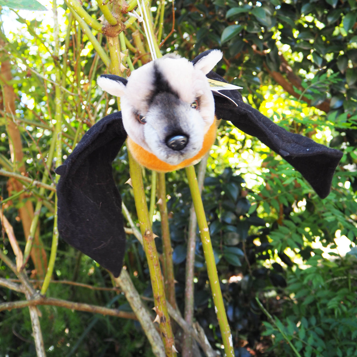 Jett - Plush Australian Flying Fox (Fruit Bat) Size 30cm/12″