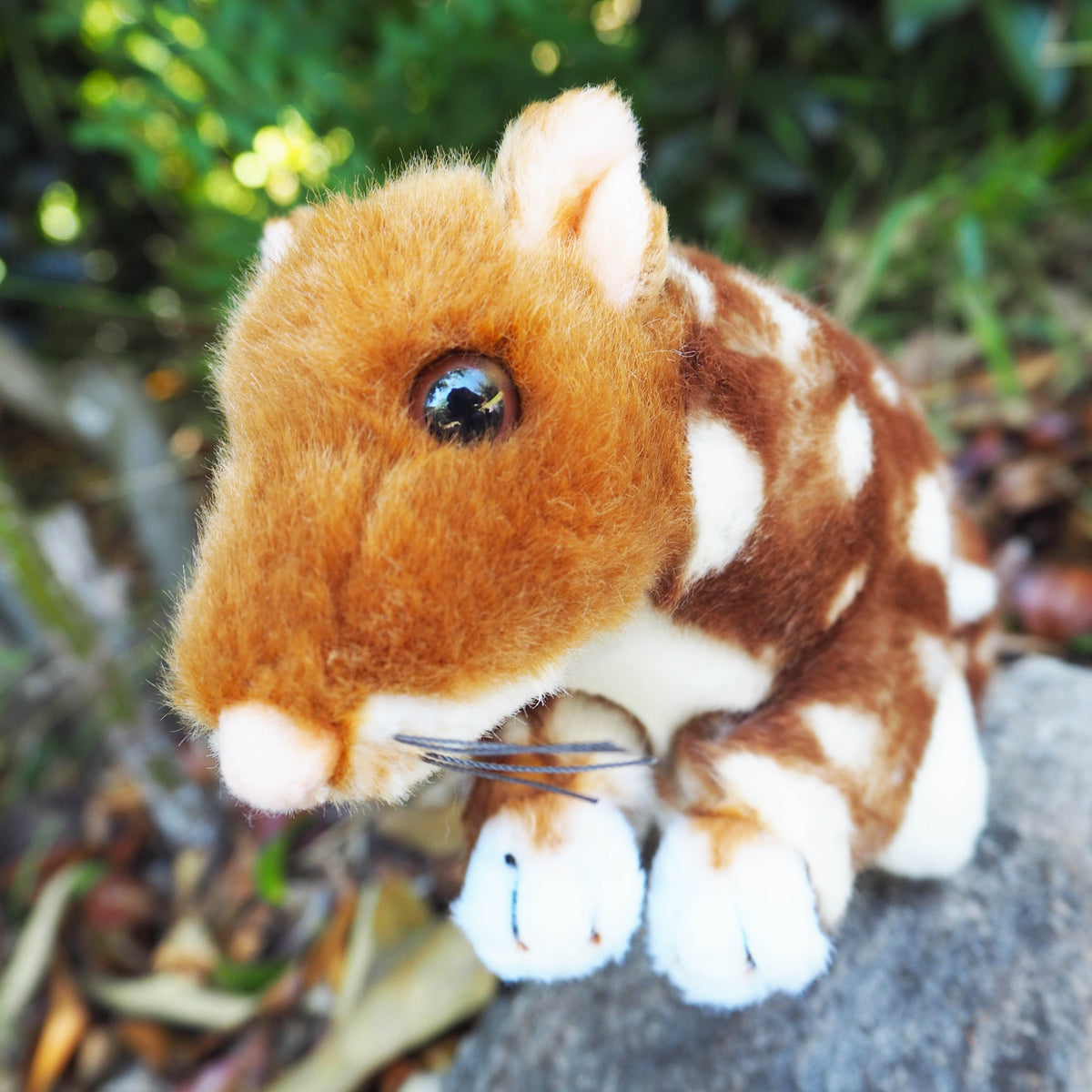 Dotti – Plush Australian Fawn Eastern Quoll Size 31cm/12″