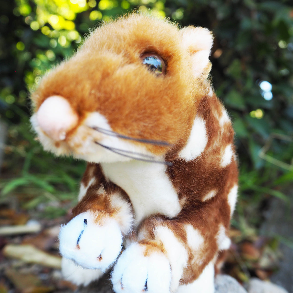 Dotti – Plush Australian Fawn Eastern Quoll Size 31cm/12″