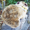 Tina - Plush Australian Wombat  Size 26cm/10″
