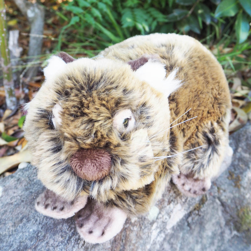 Tina - Plush Australian Wombat  Size 26cm/10″