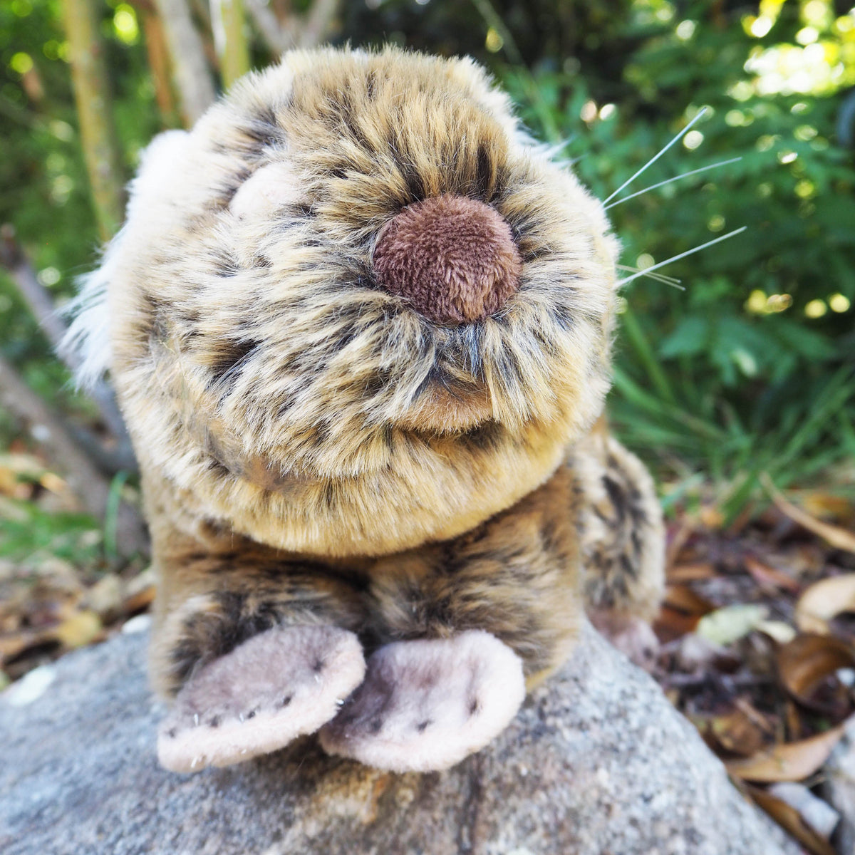 Tina - Plush Australian Wombat  Size 26cm/10″